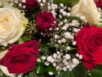 das zu meldende Bild